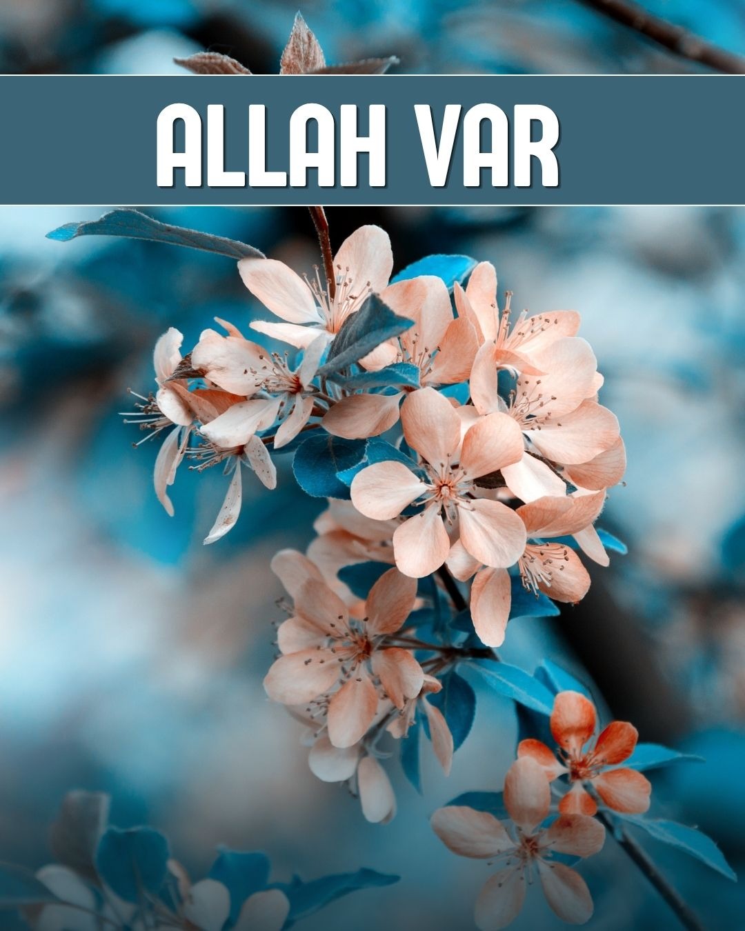 Allah Var 