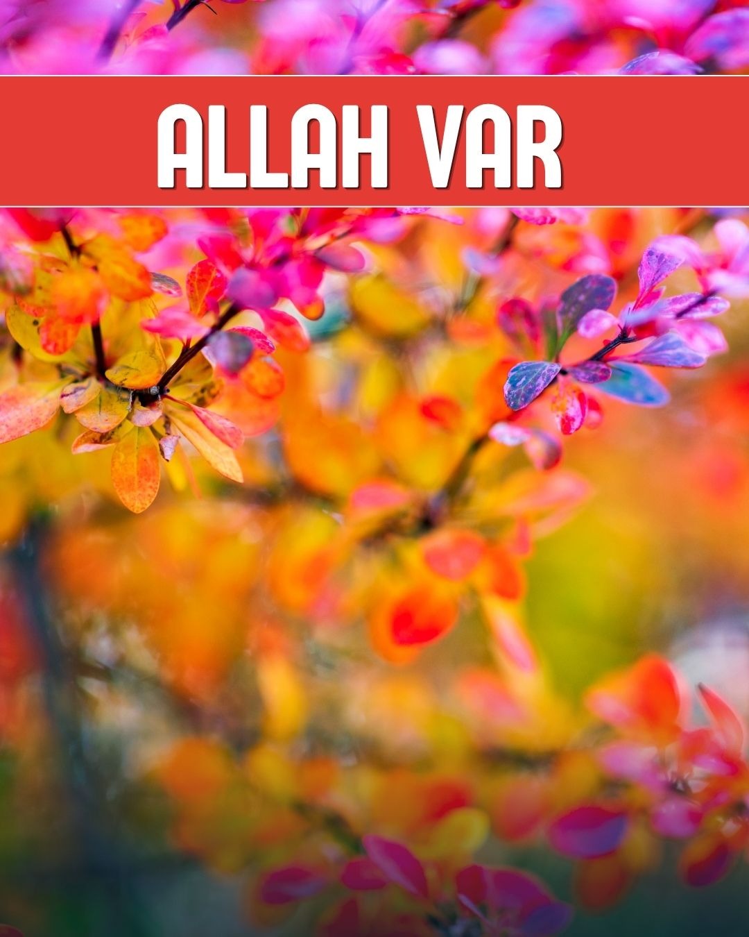 Allah Var 