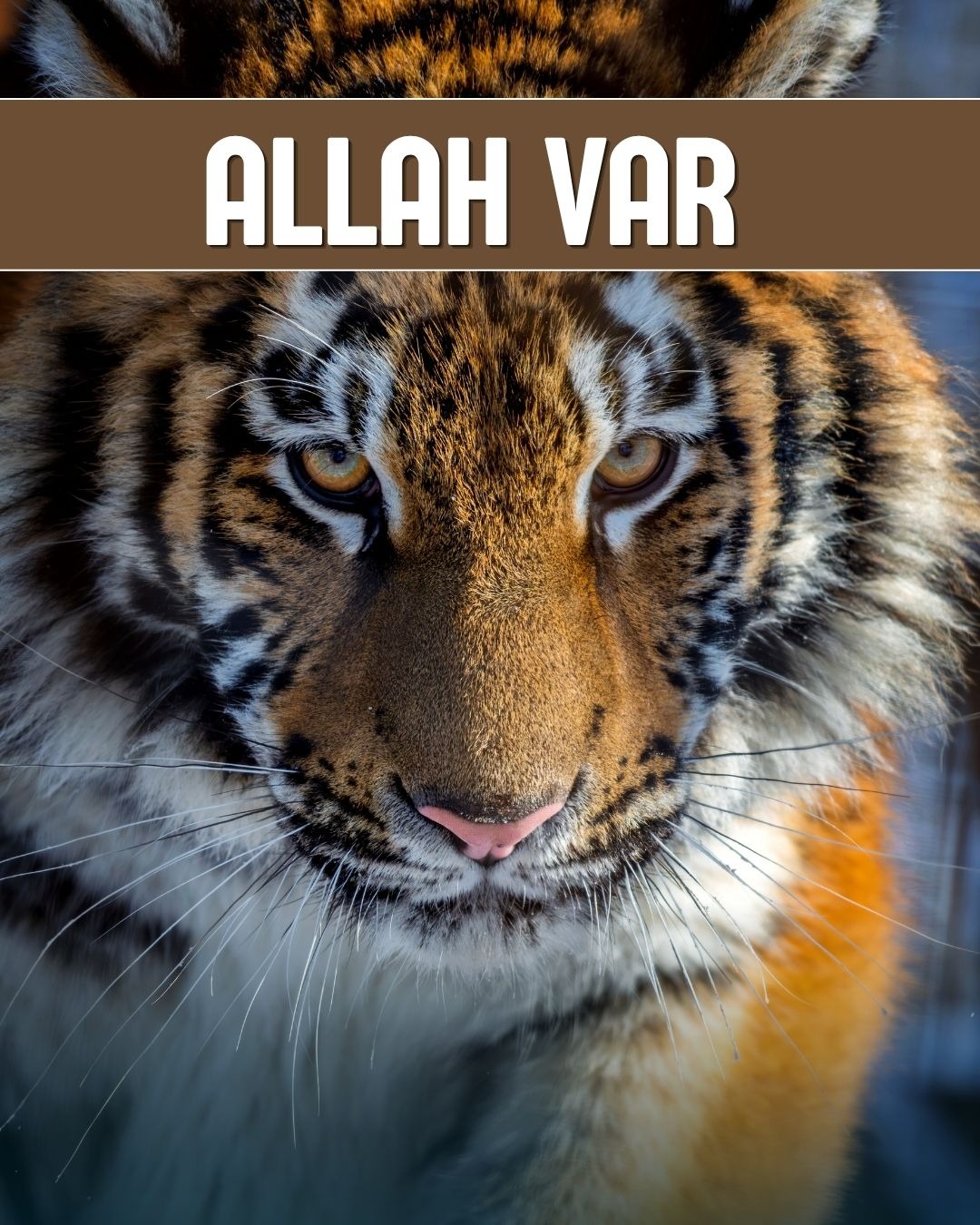 Allah Var 