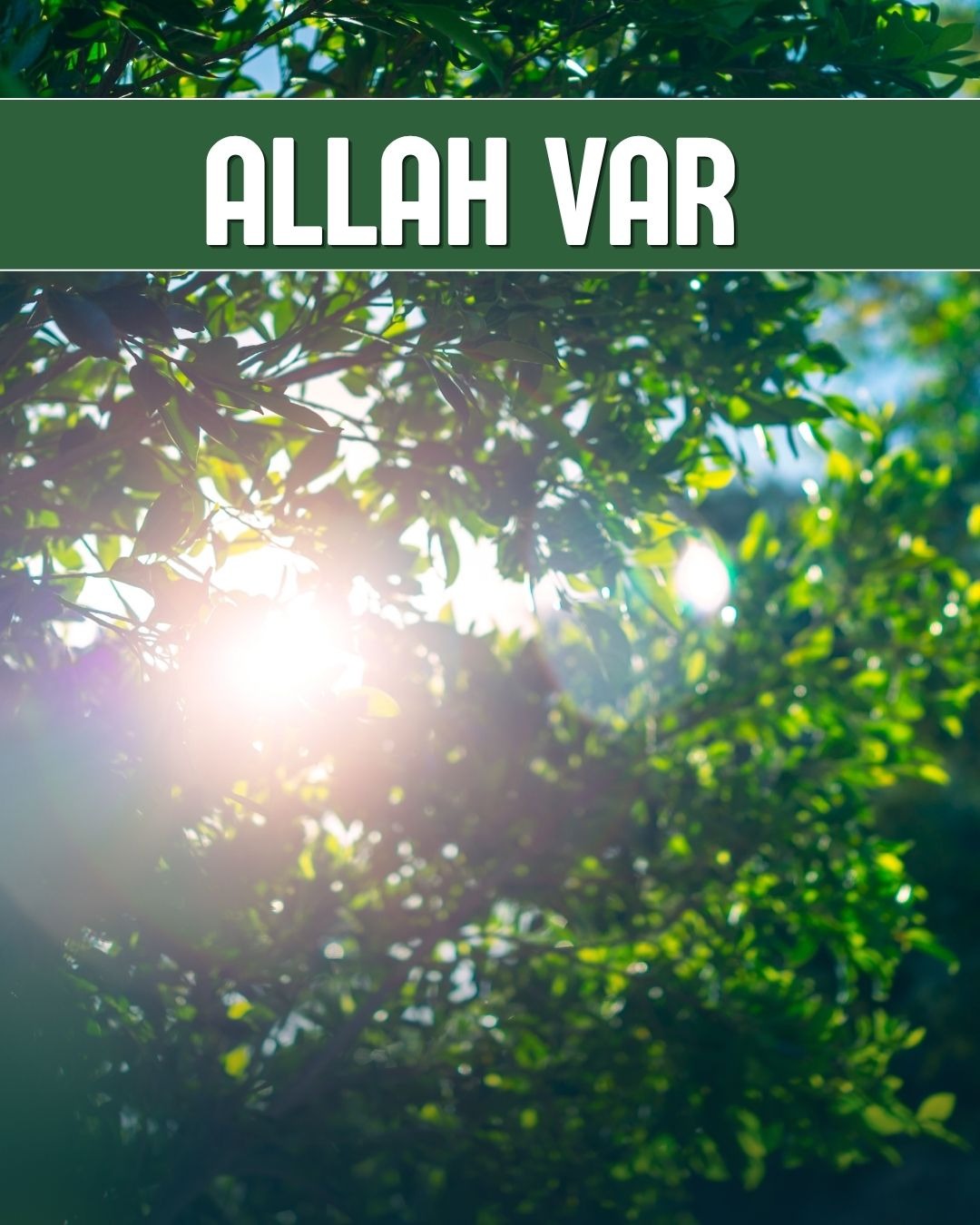 Allah Var 