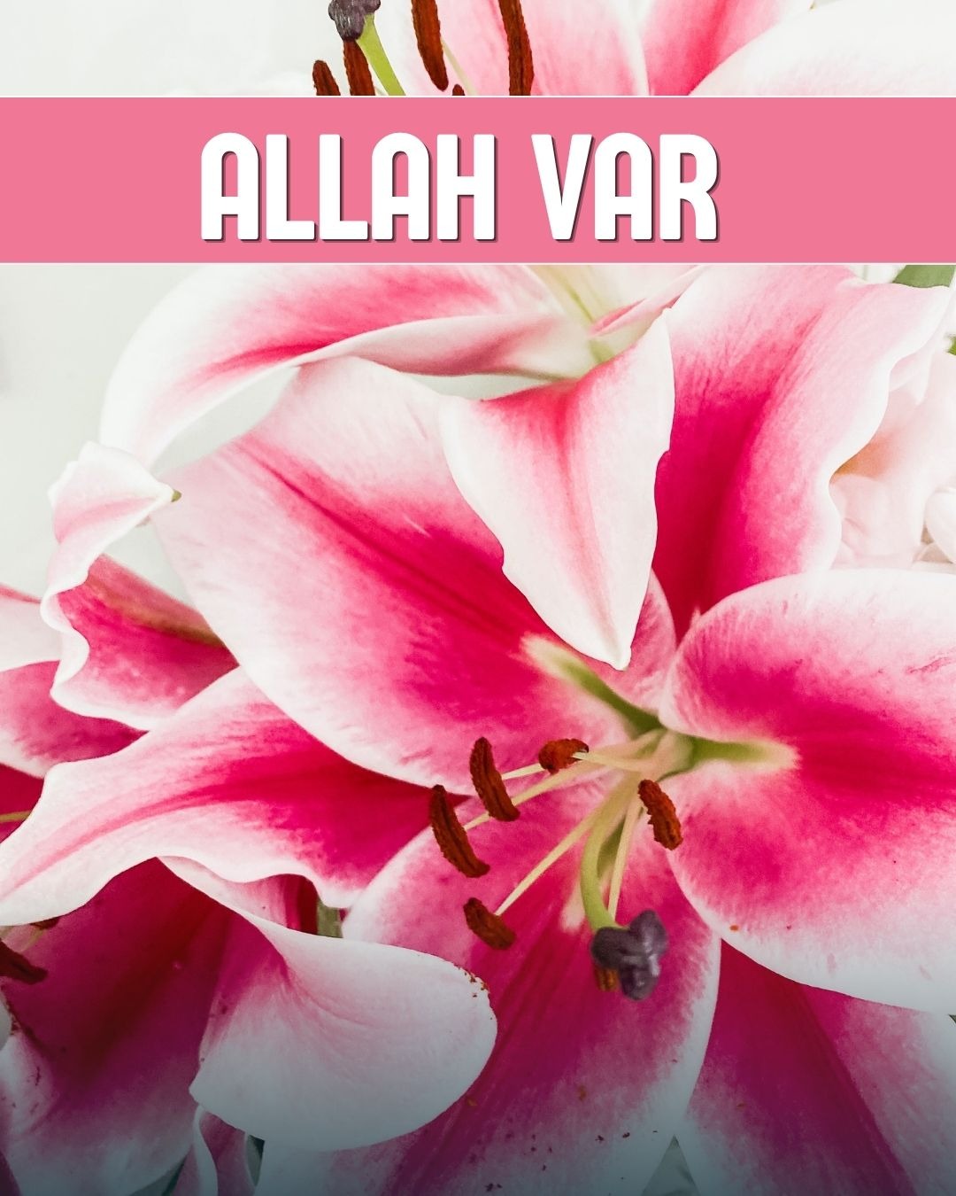 Allah Var 