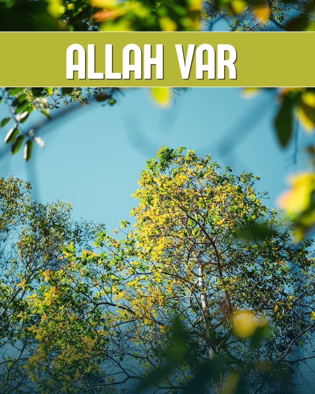 Allah Var 