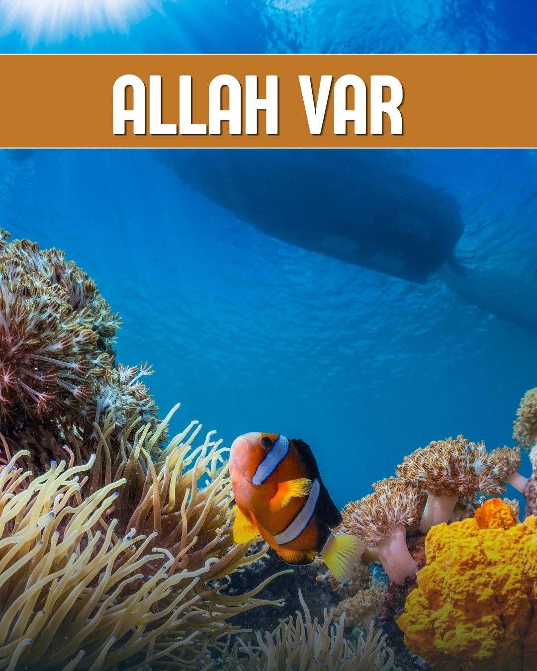 Allah Var 