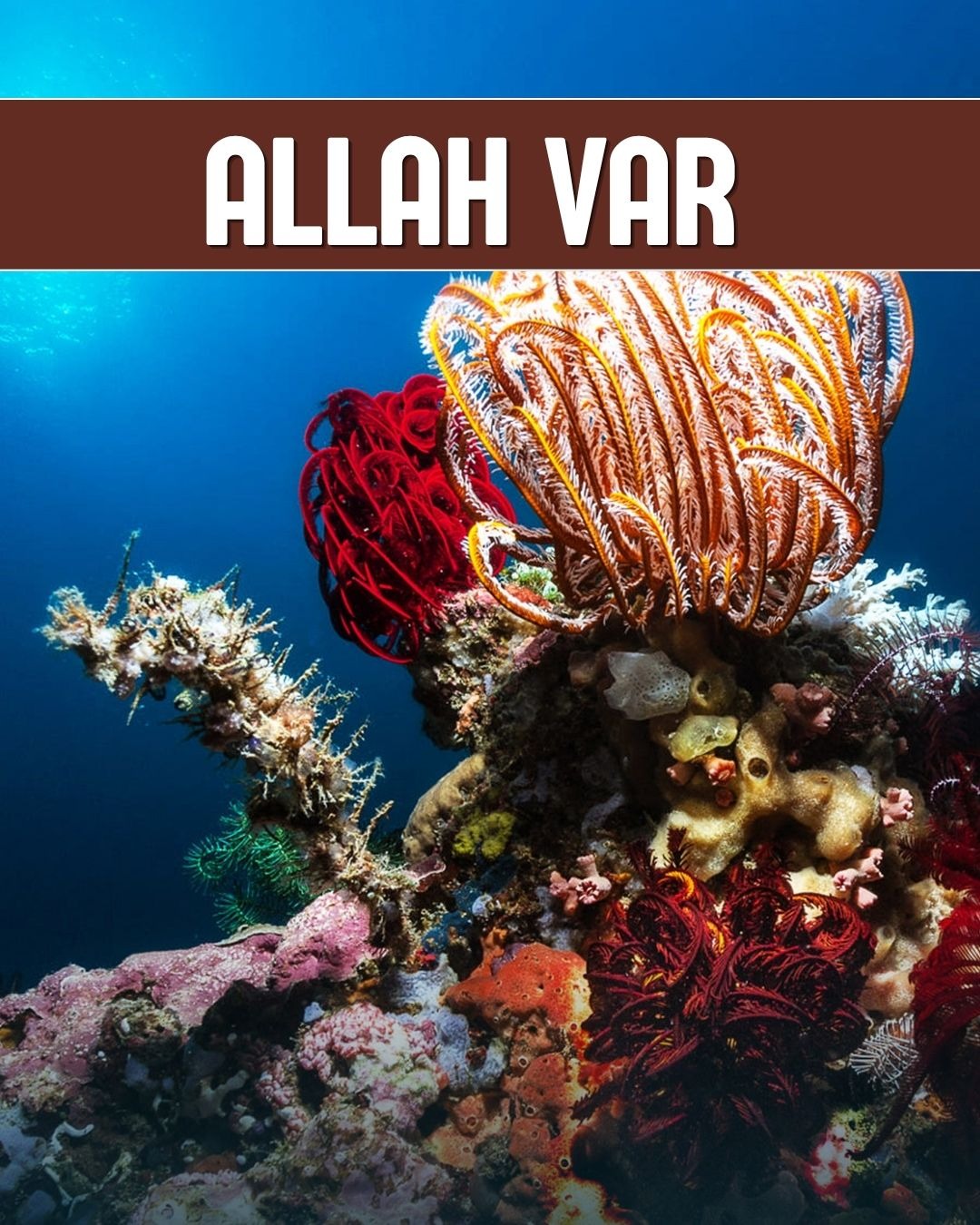 Allah Var 