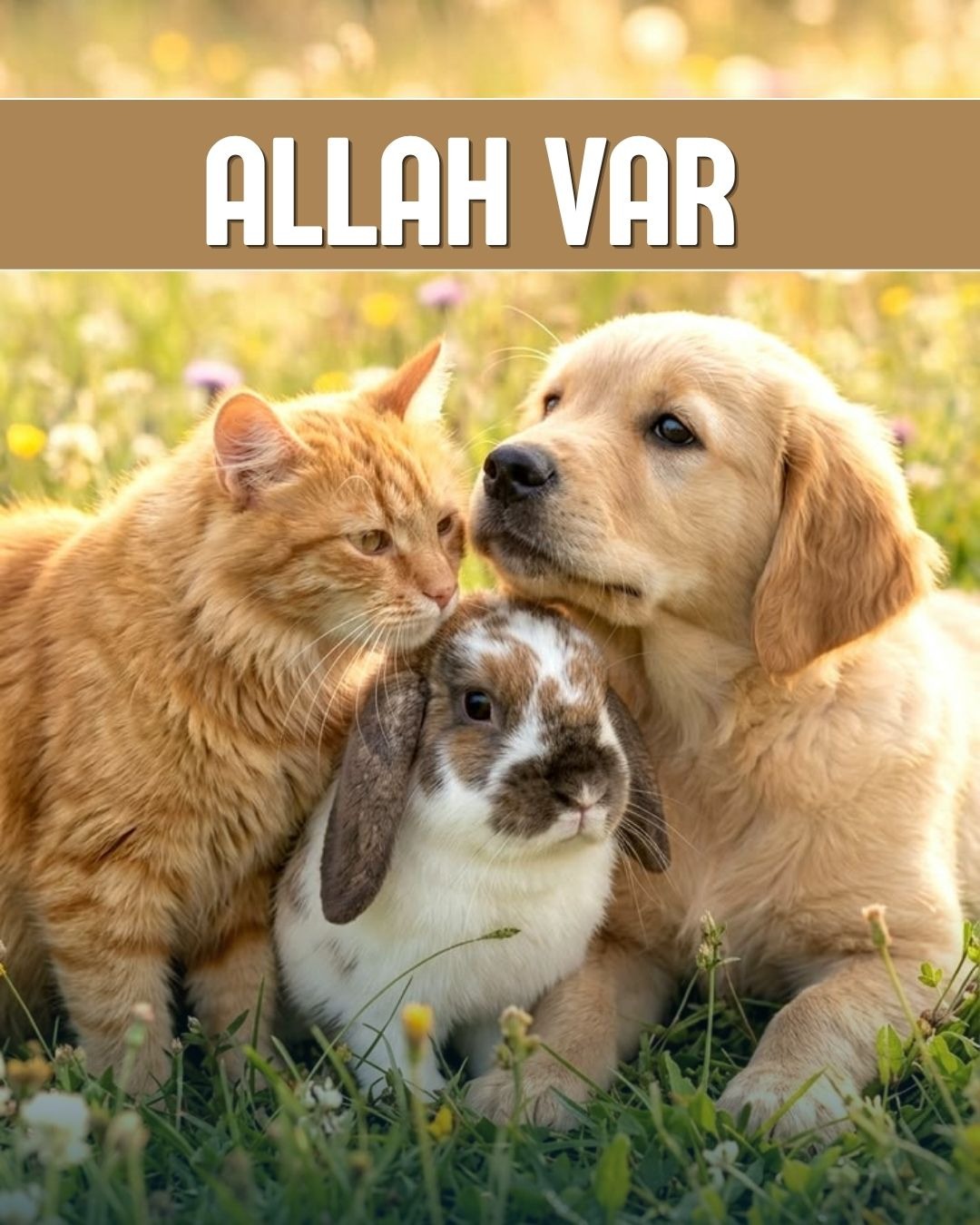 Allah Var 