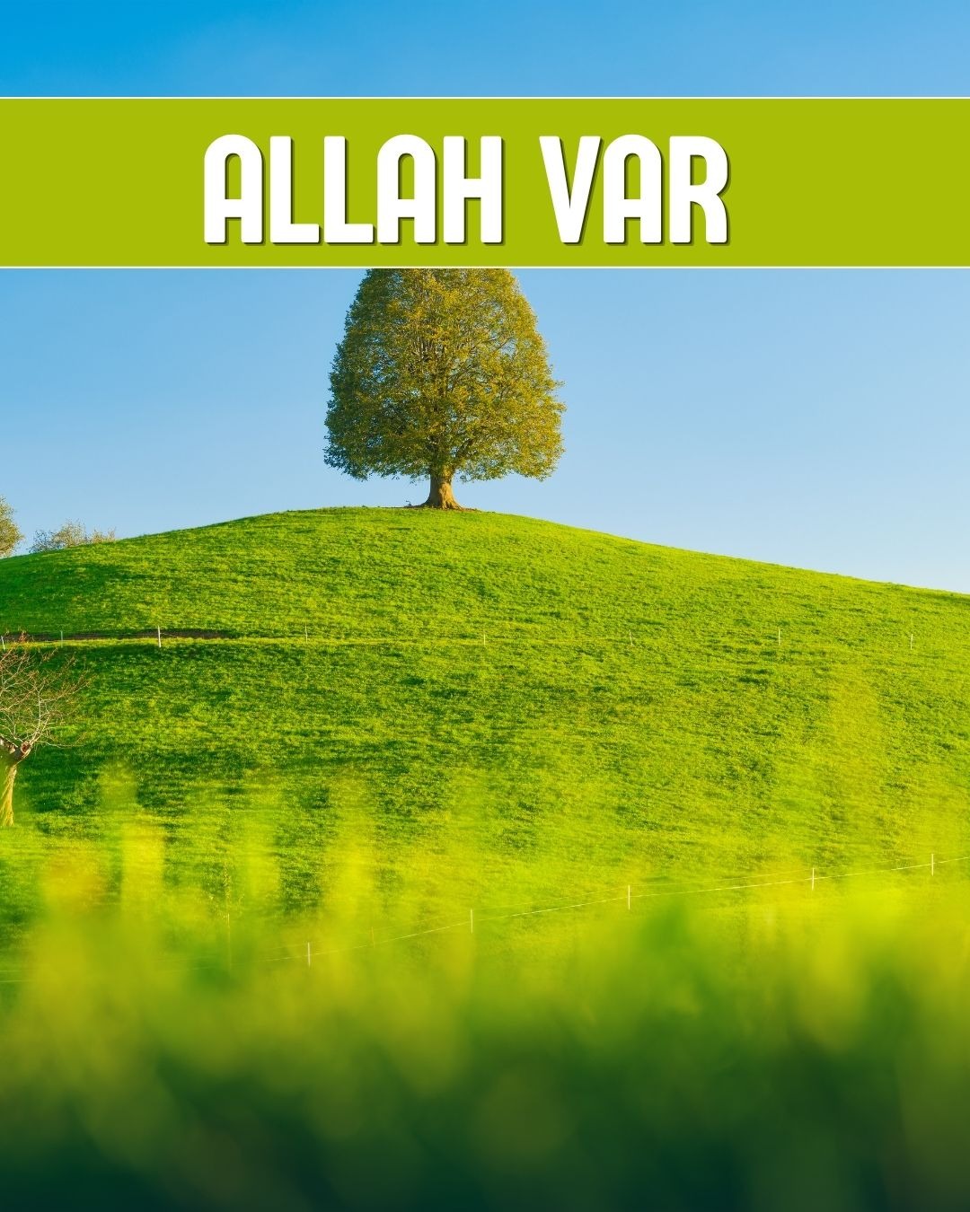 Allah Var 