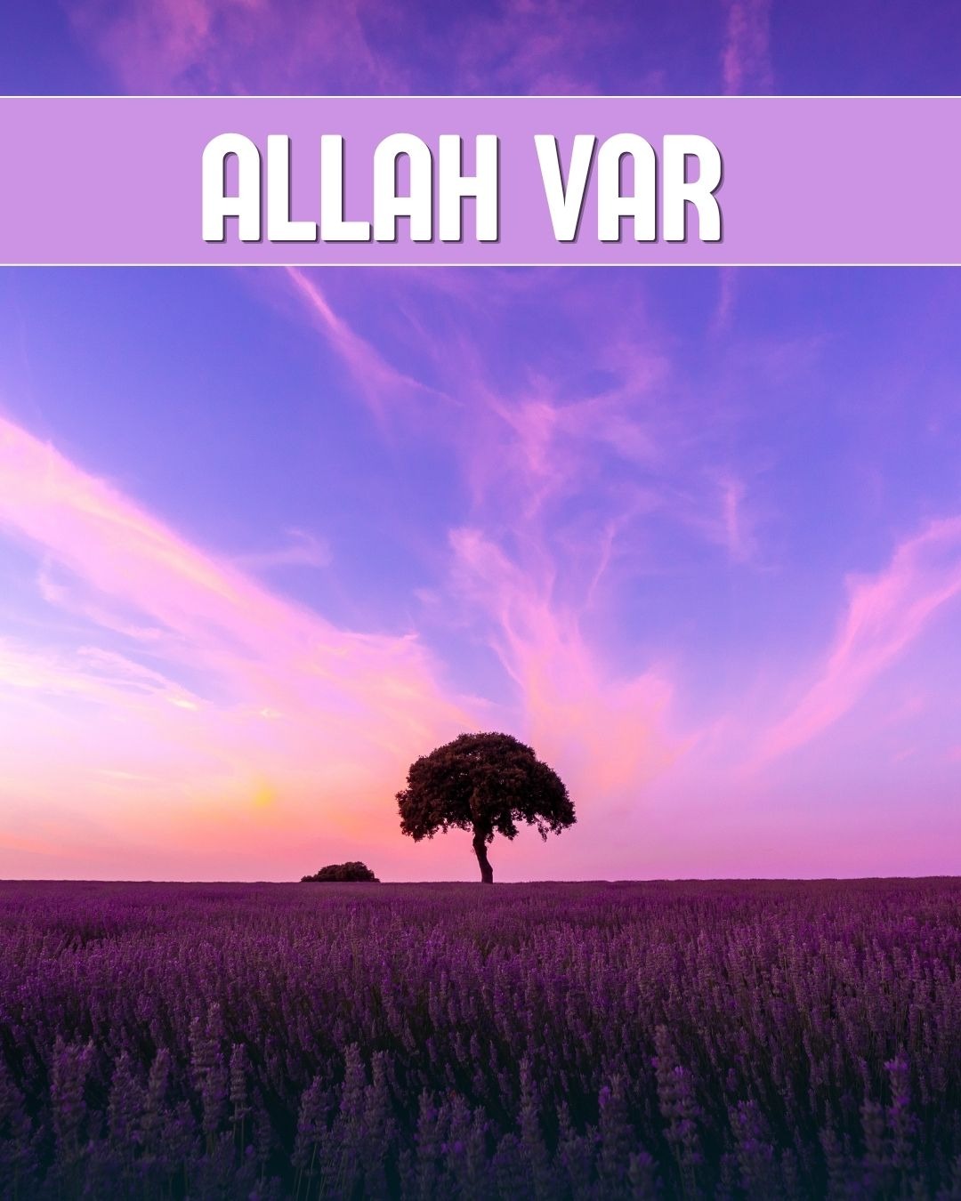 Allah Var 