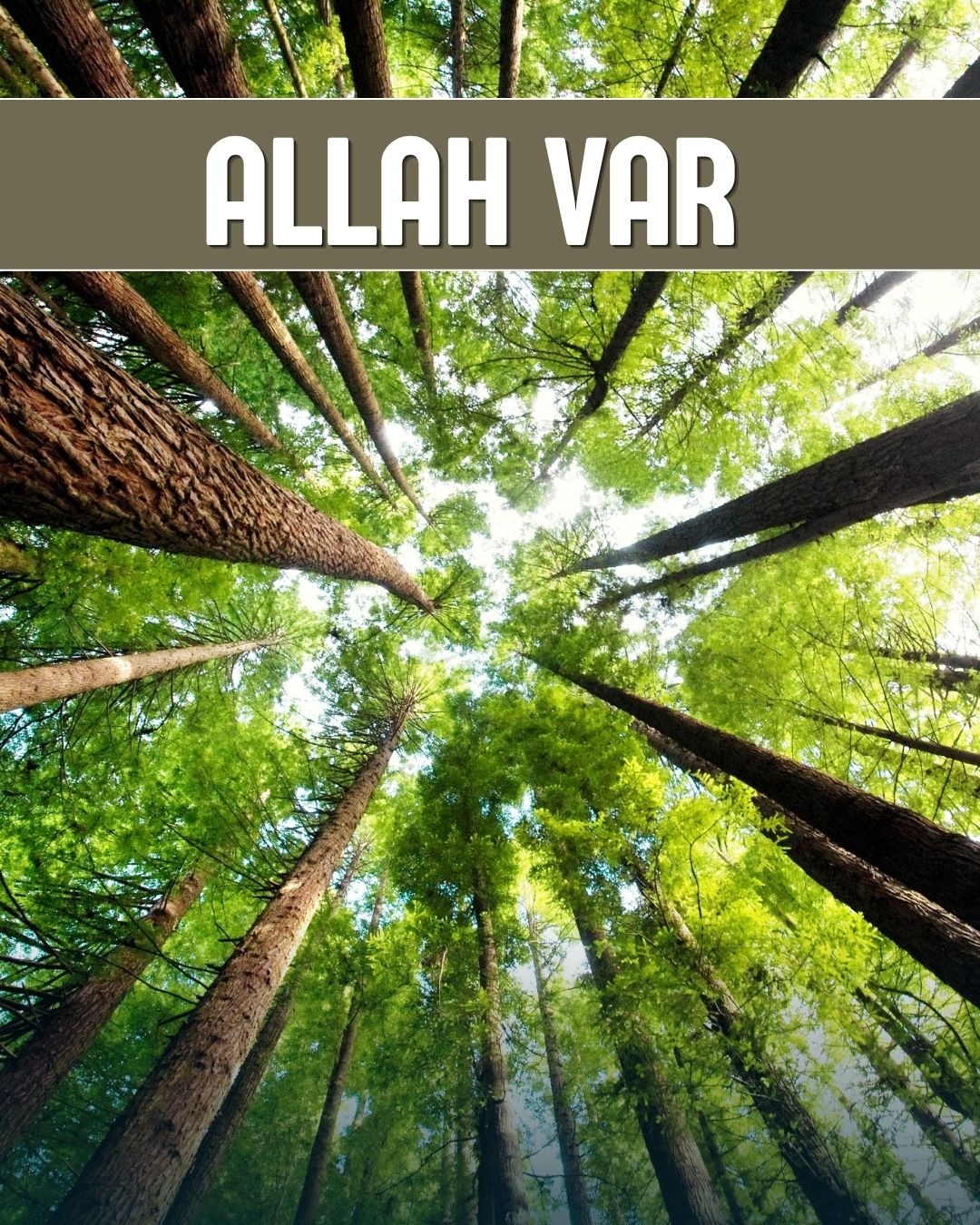 Allah Var 
