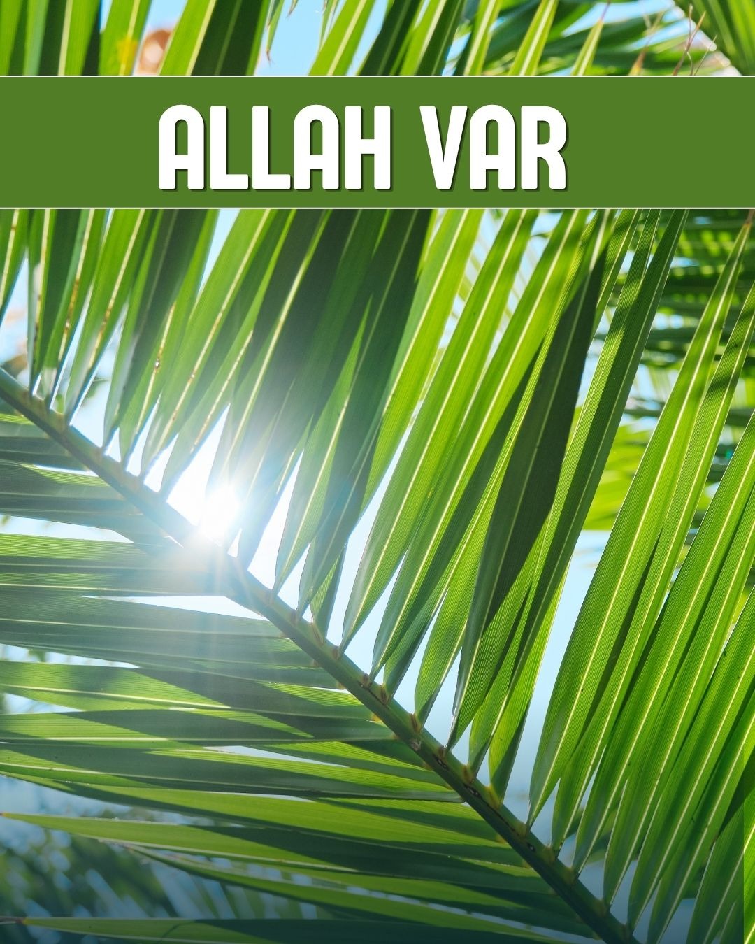 Allah Var 