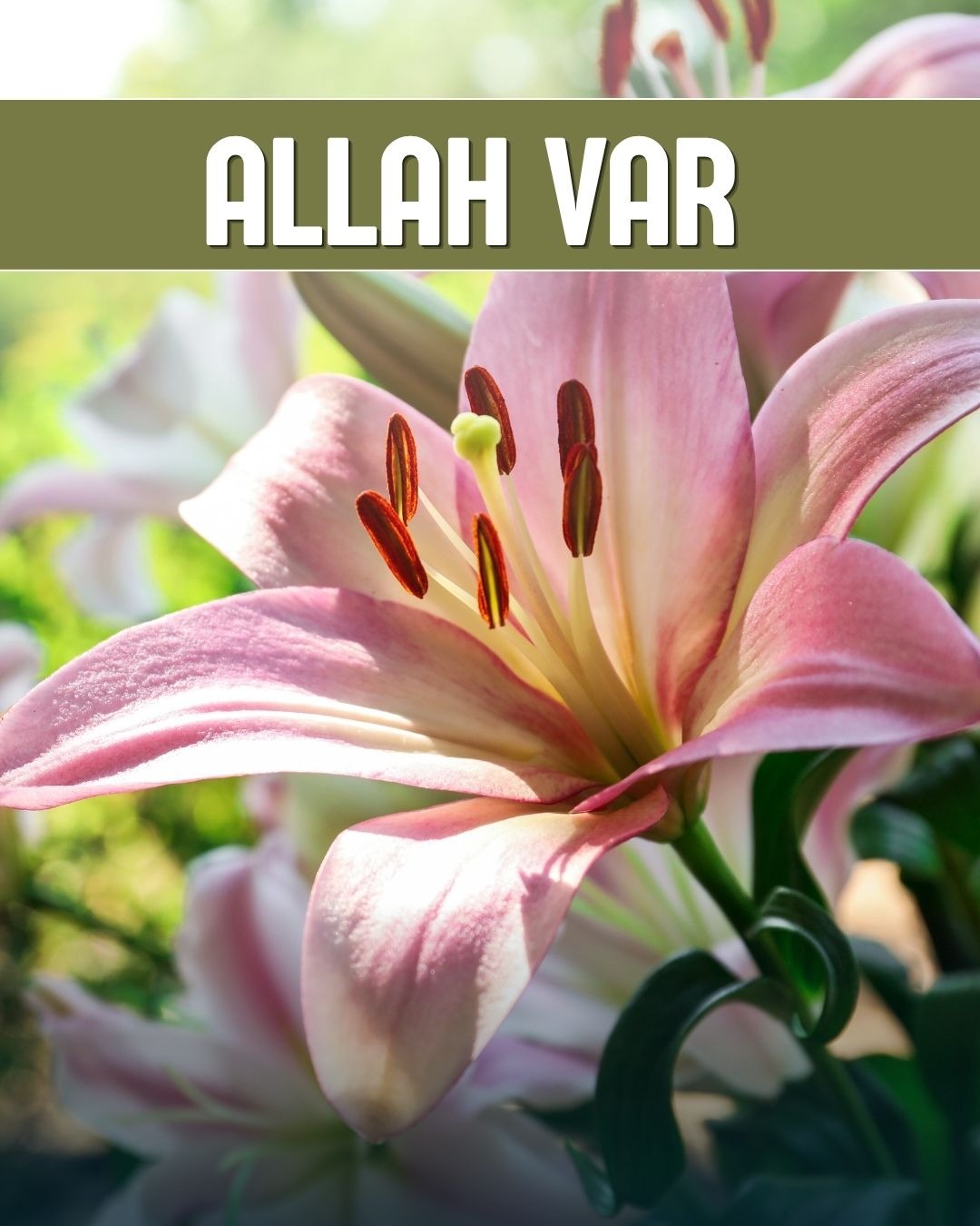 Allah Var 
