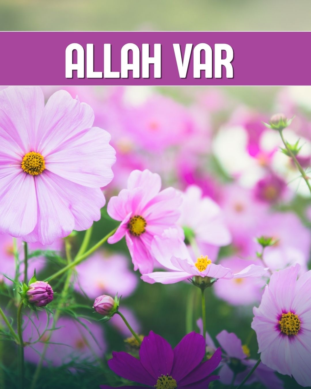 Allah Var 