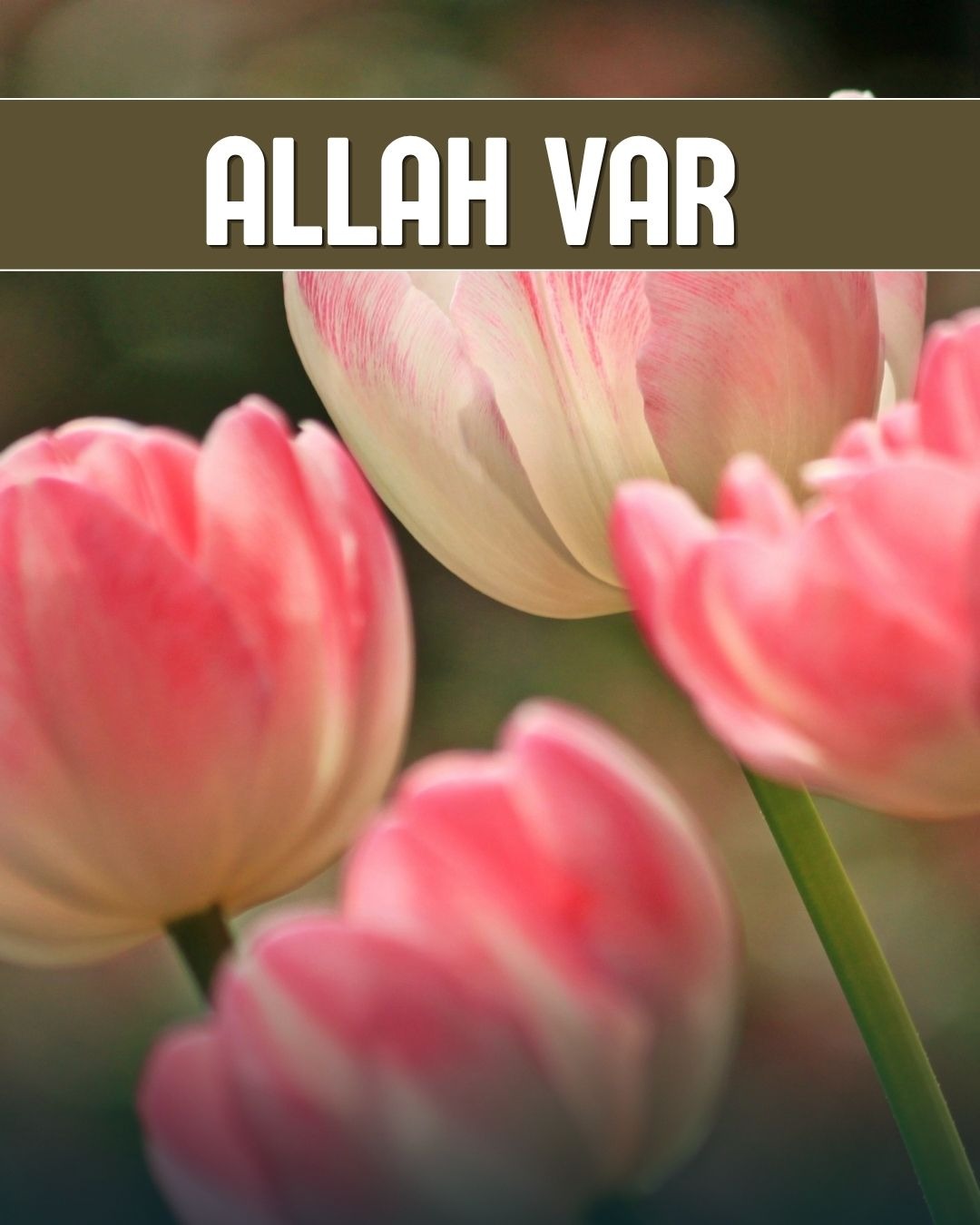 Allah Var 