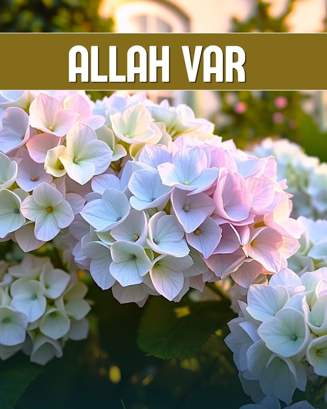 Allah Var 