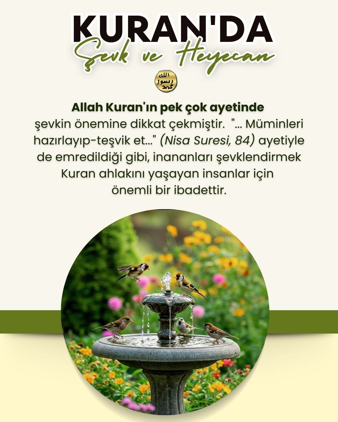 Kuran'da Şevk ve Heyecan