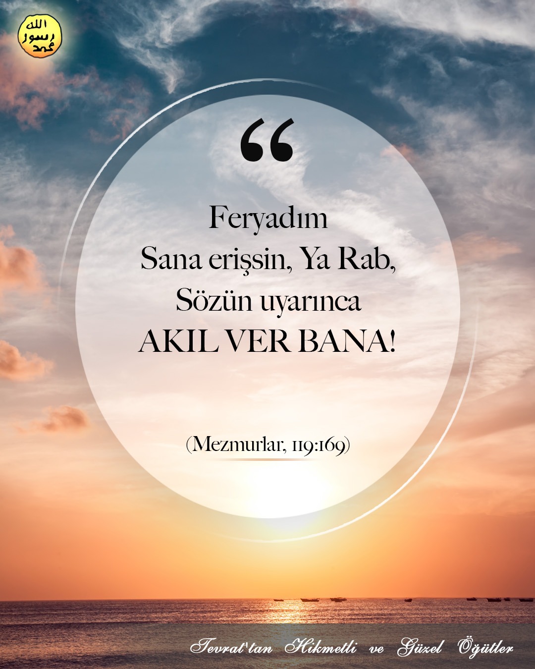 Memurlar, 119:169