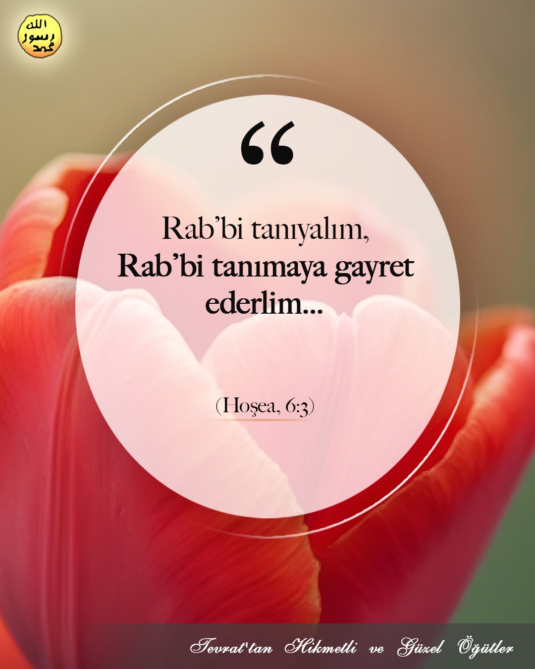 Hoşea, 6:3