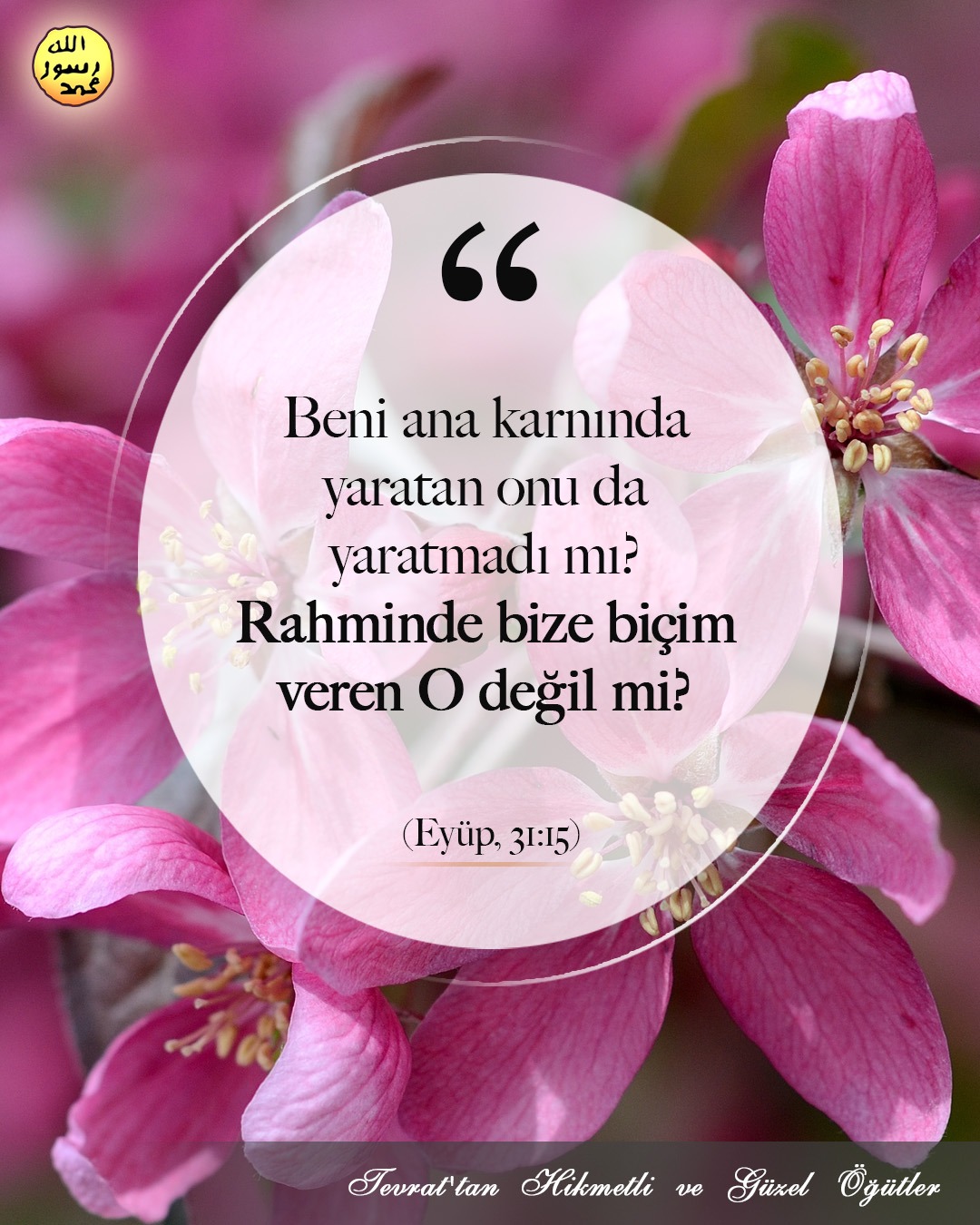 Eyüp, 31:15