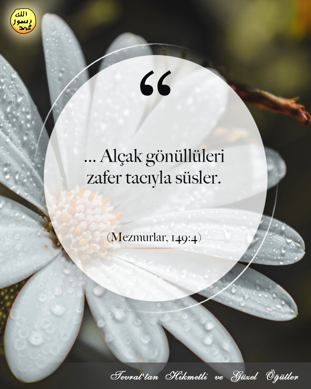 Mezmurlar, 149:4