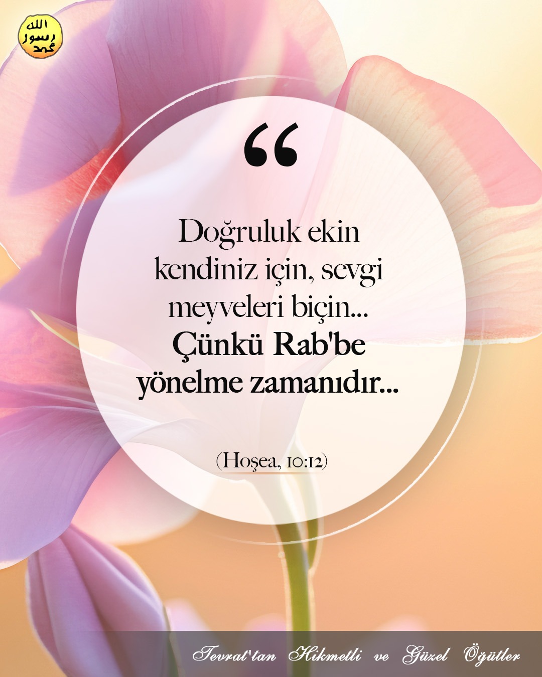 Hoşea, 10:12