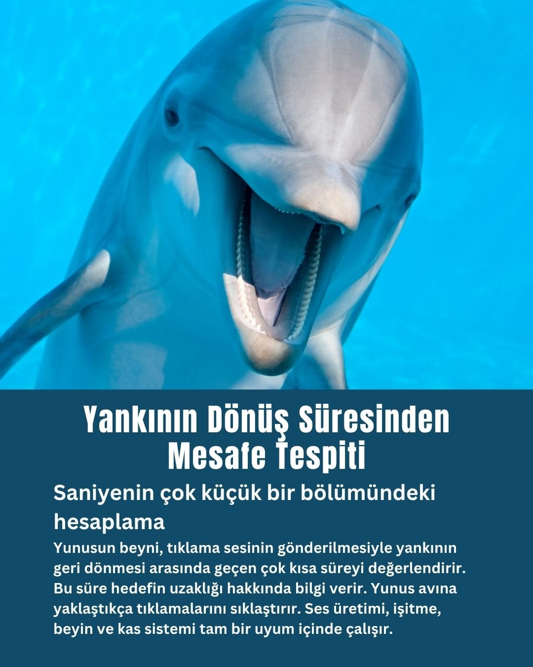 Yankının Dönüş Süresinden Mesafe Tespiti