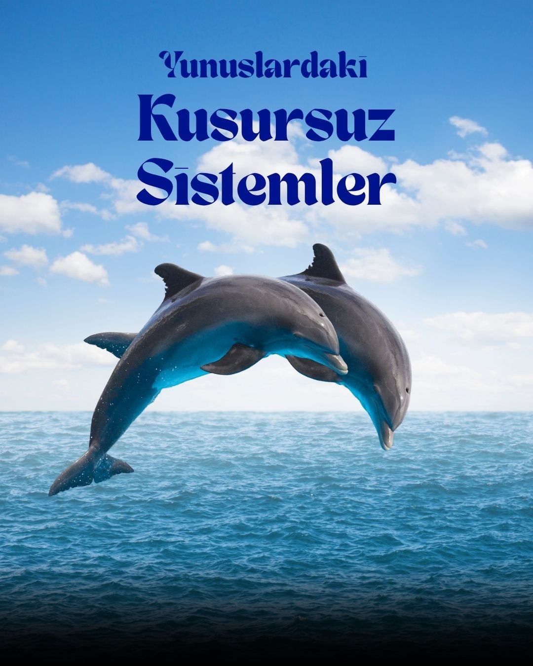 Yunuslardaki Kusursuz Sistemler