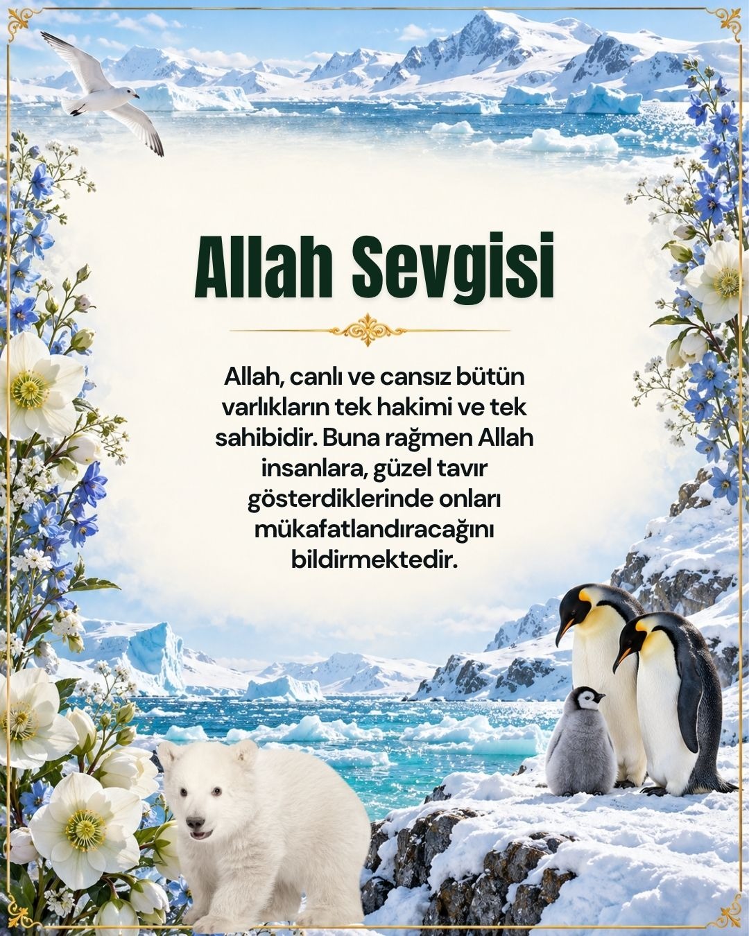 Allah Sevgisi 