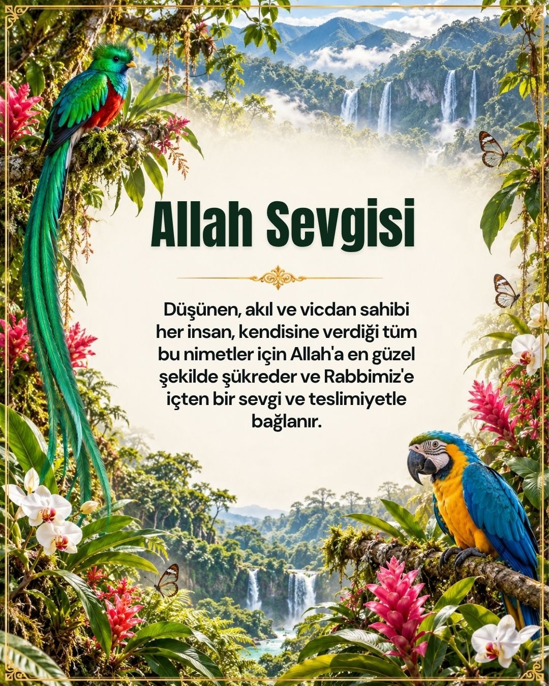 Allah Sevgisi 