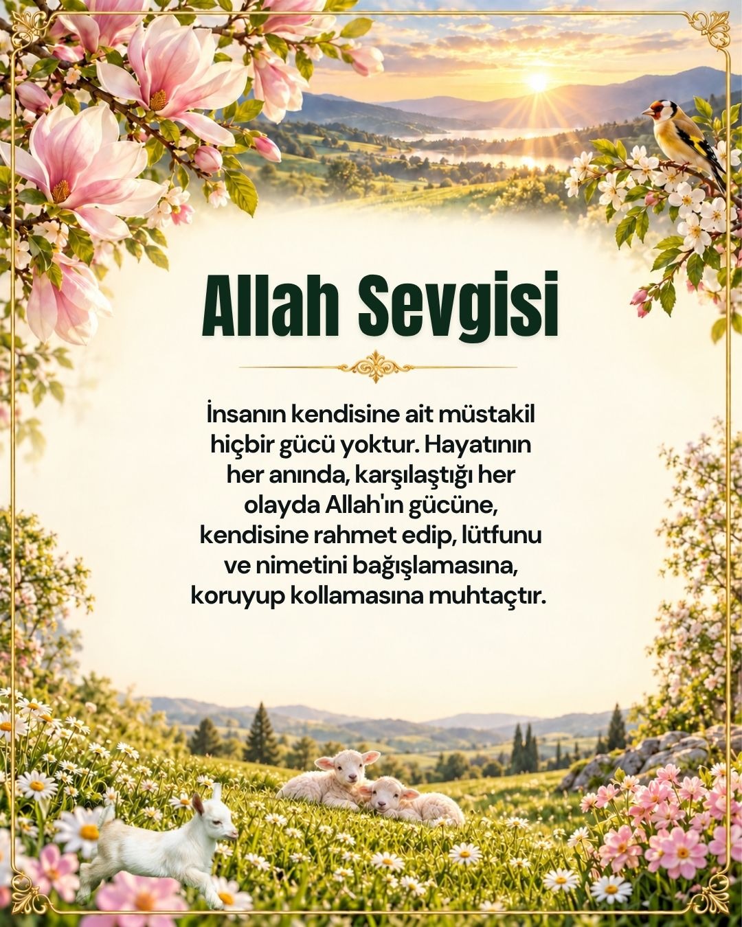 Allah Sevgisi 