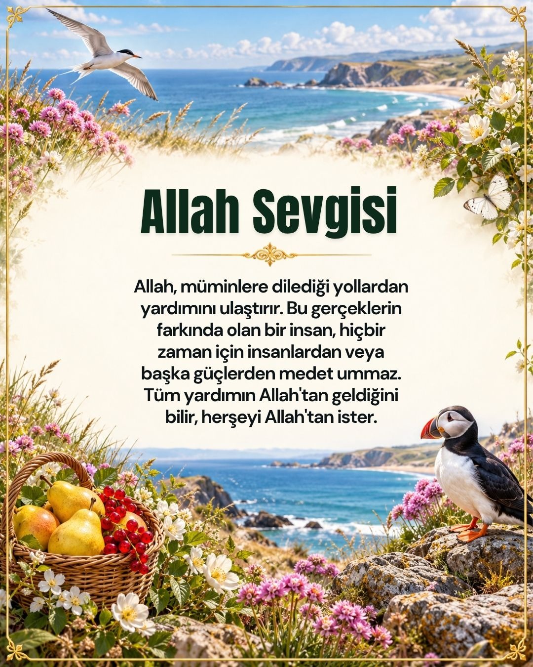 Allah Sevgisi 