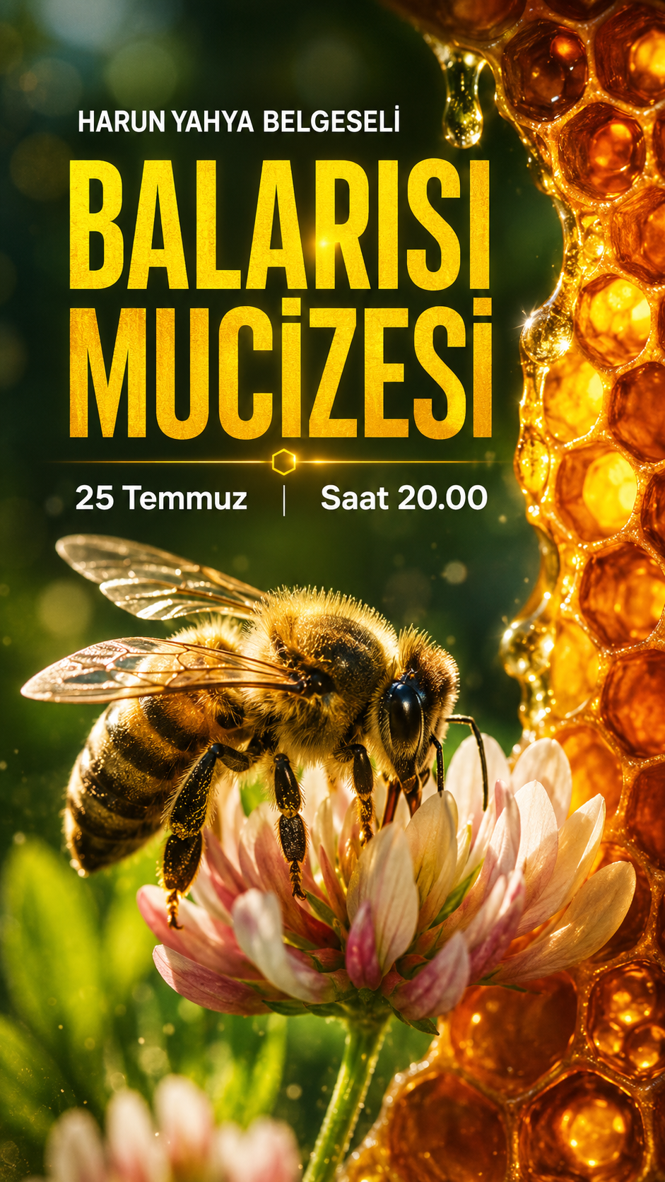 Balarısı Mucizesi Belgeseli 25 Temmuz'da Saat 20.00 de Yayında 