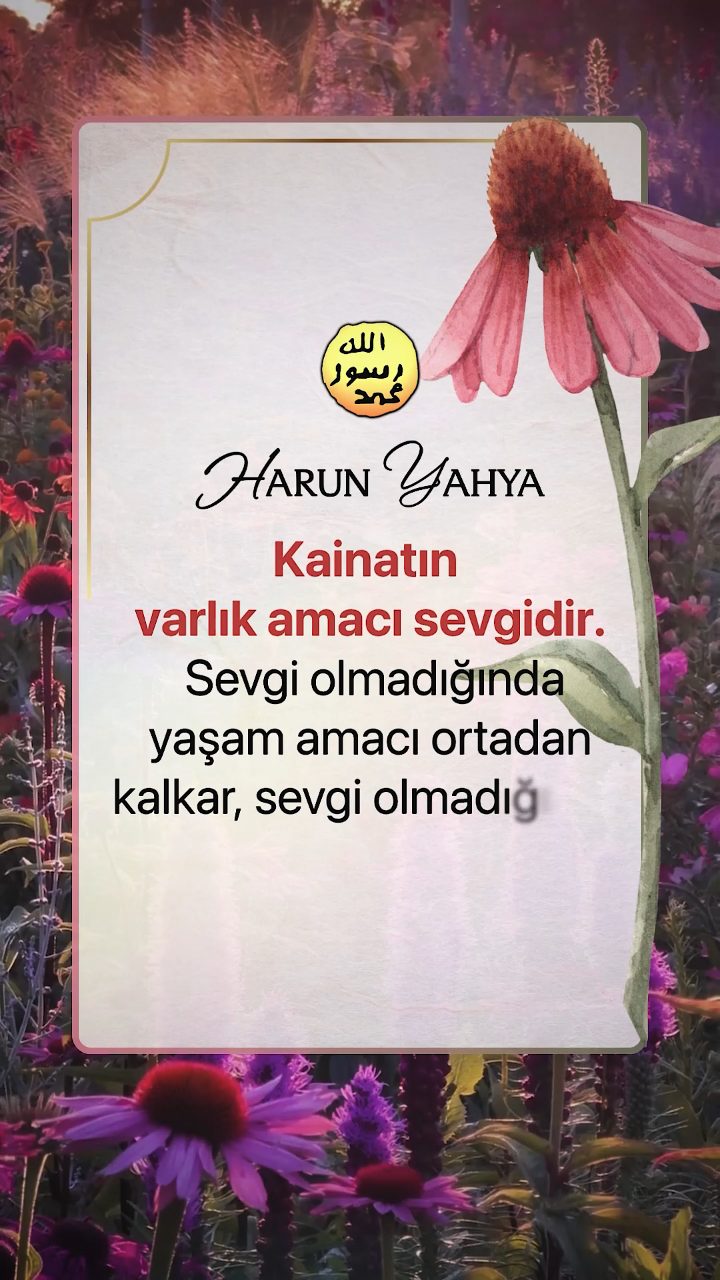 Kainatın Amacı Sevgi