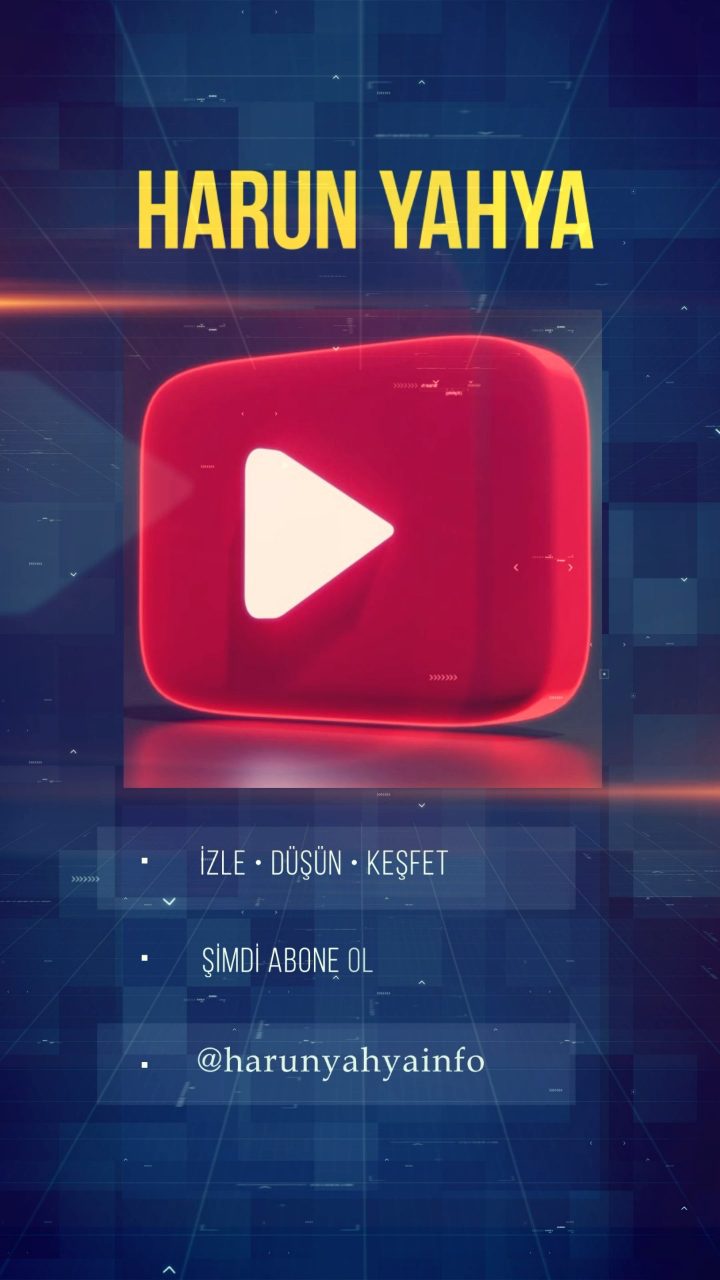 Keşfetmeye Hazır mısınız?