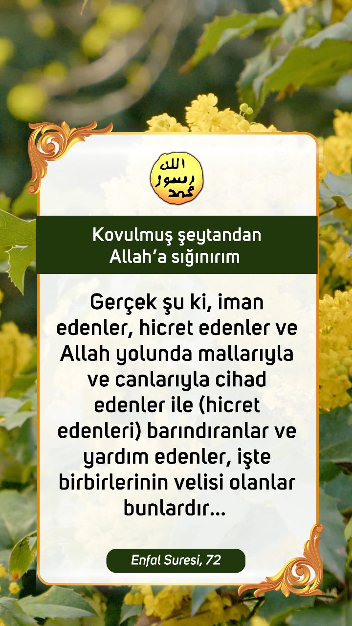 Kuran'dan Ayetler