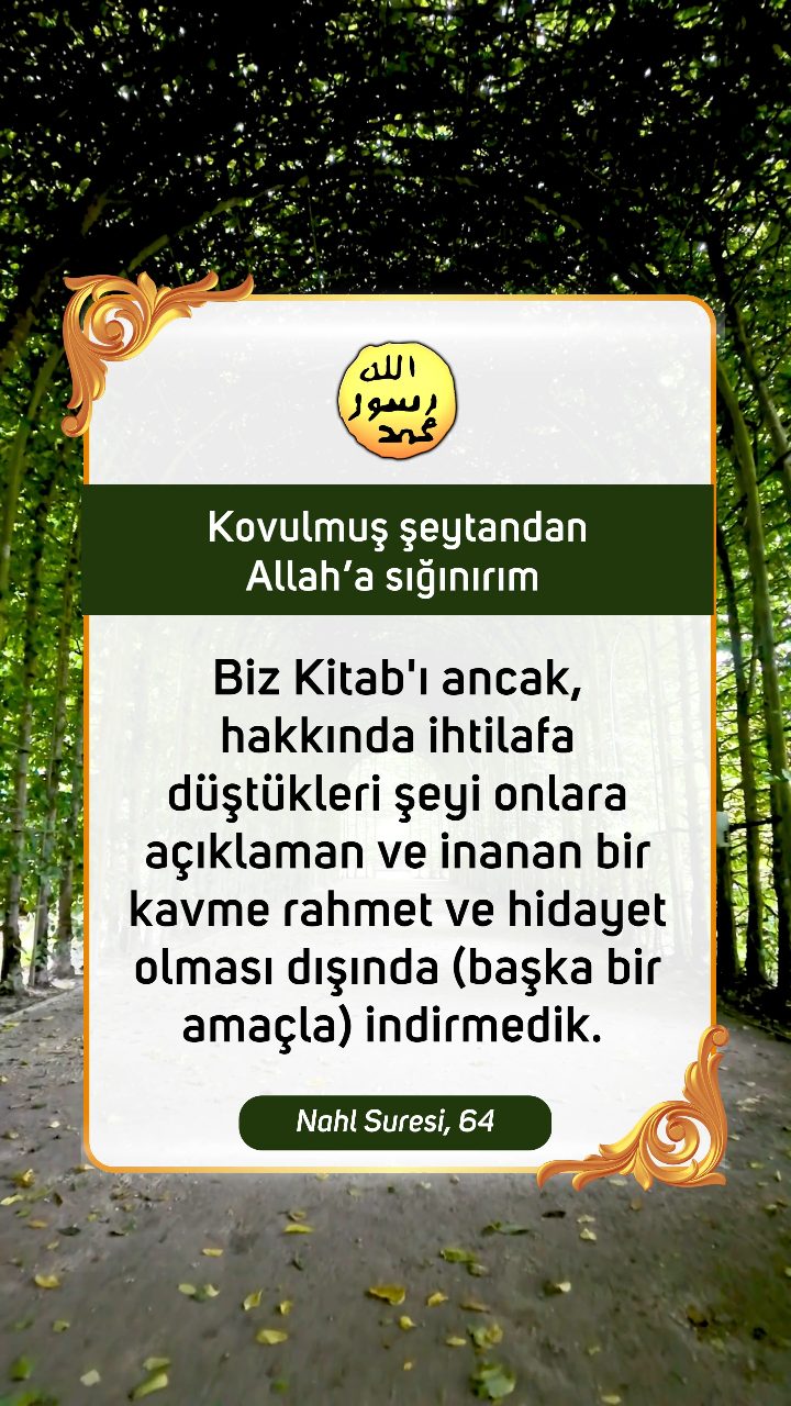Kuran'dan Ayetler