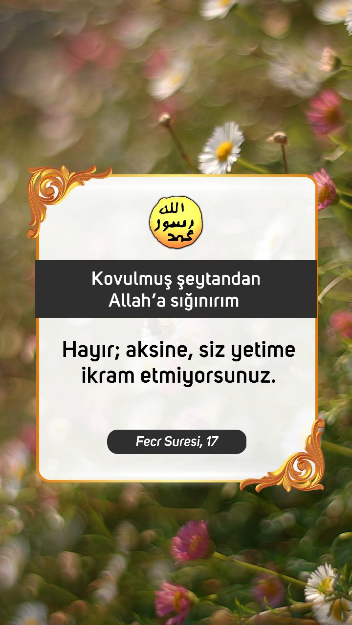 Kuran'dan Ayetler