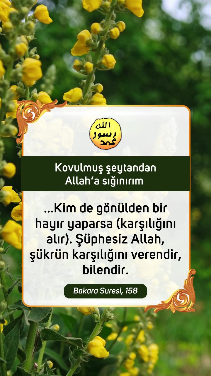 Kuran'dan Ayetler