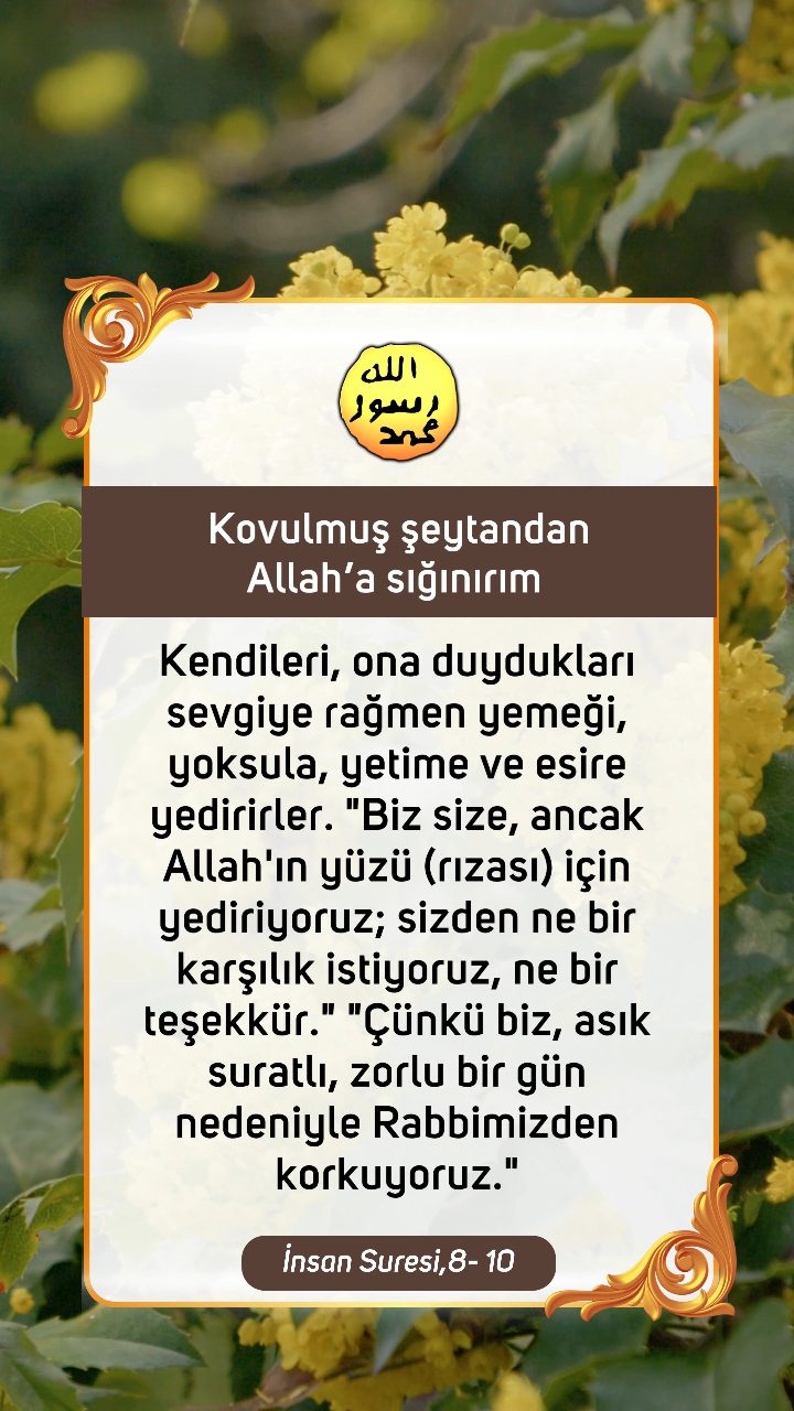 Kuran'dan Ayetler