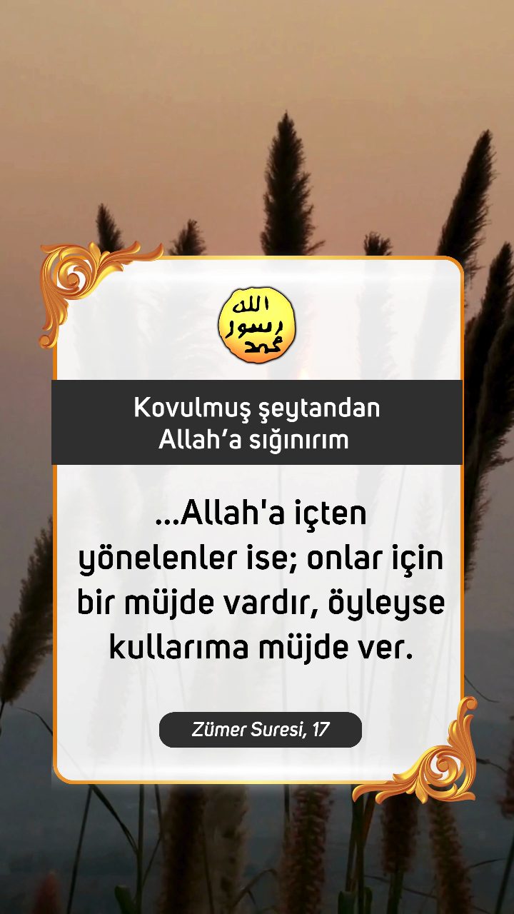 Kuran'dan Ayetler