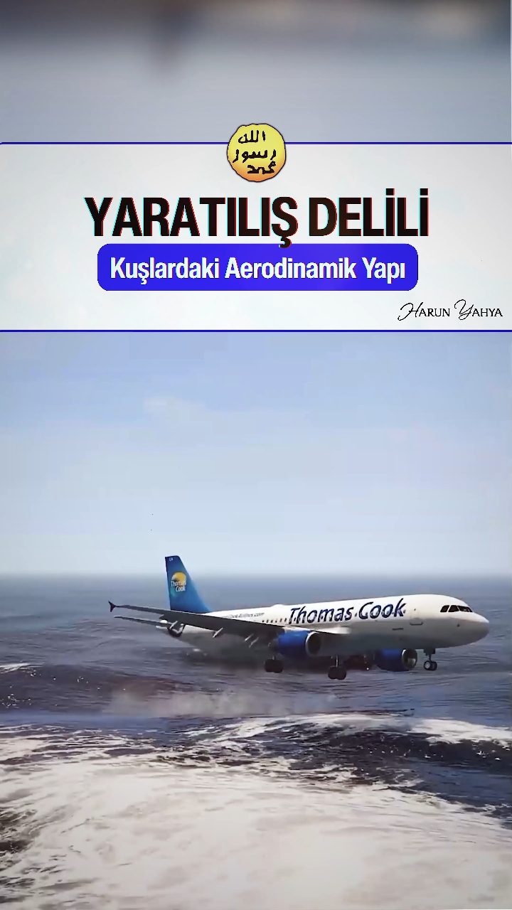 Kuşlardaki Aerodinamik Yapı