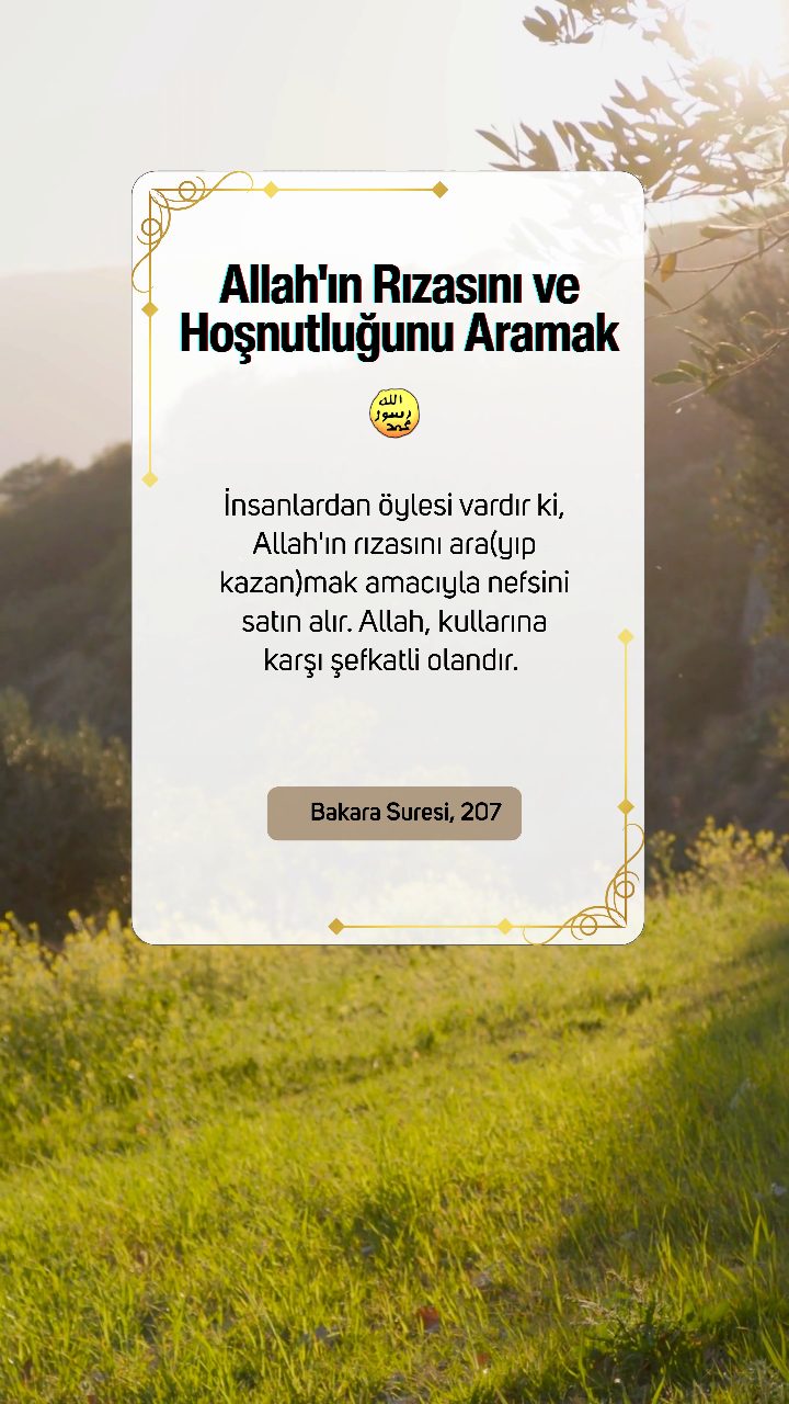 Allah'ın Rızasını ve Hoşnutluğunu Aramak