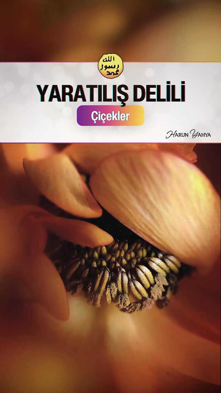Çiçeklerdeki Muhteşem Sanat