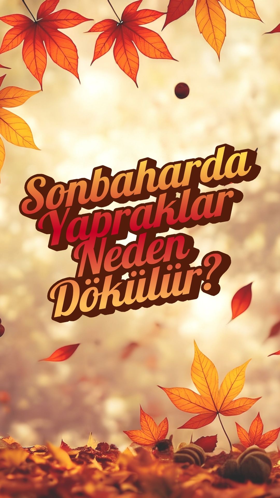 Sonbaharda Yapraklar Neden Dökülür?
