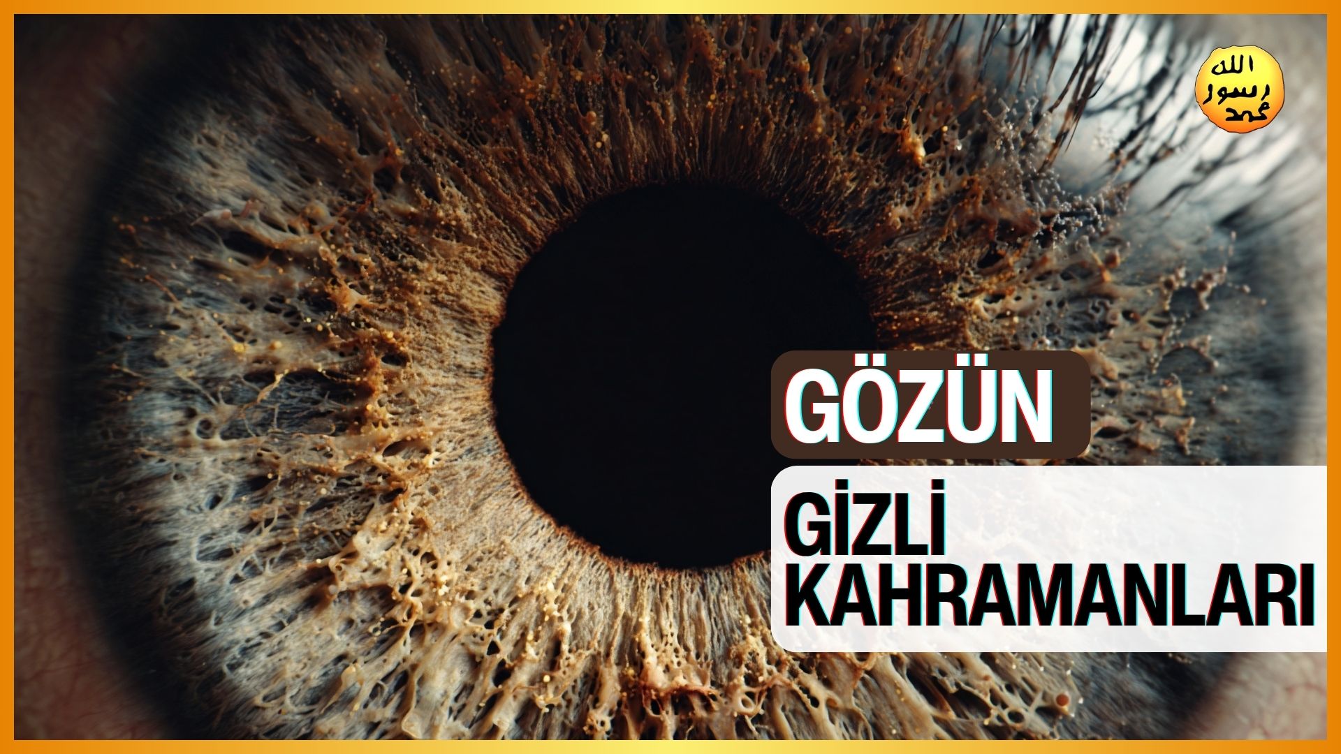 Gözün Gizli Kahramanları - Kristalin Proteinleri