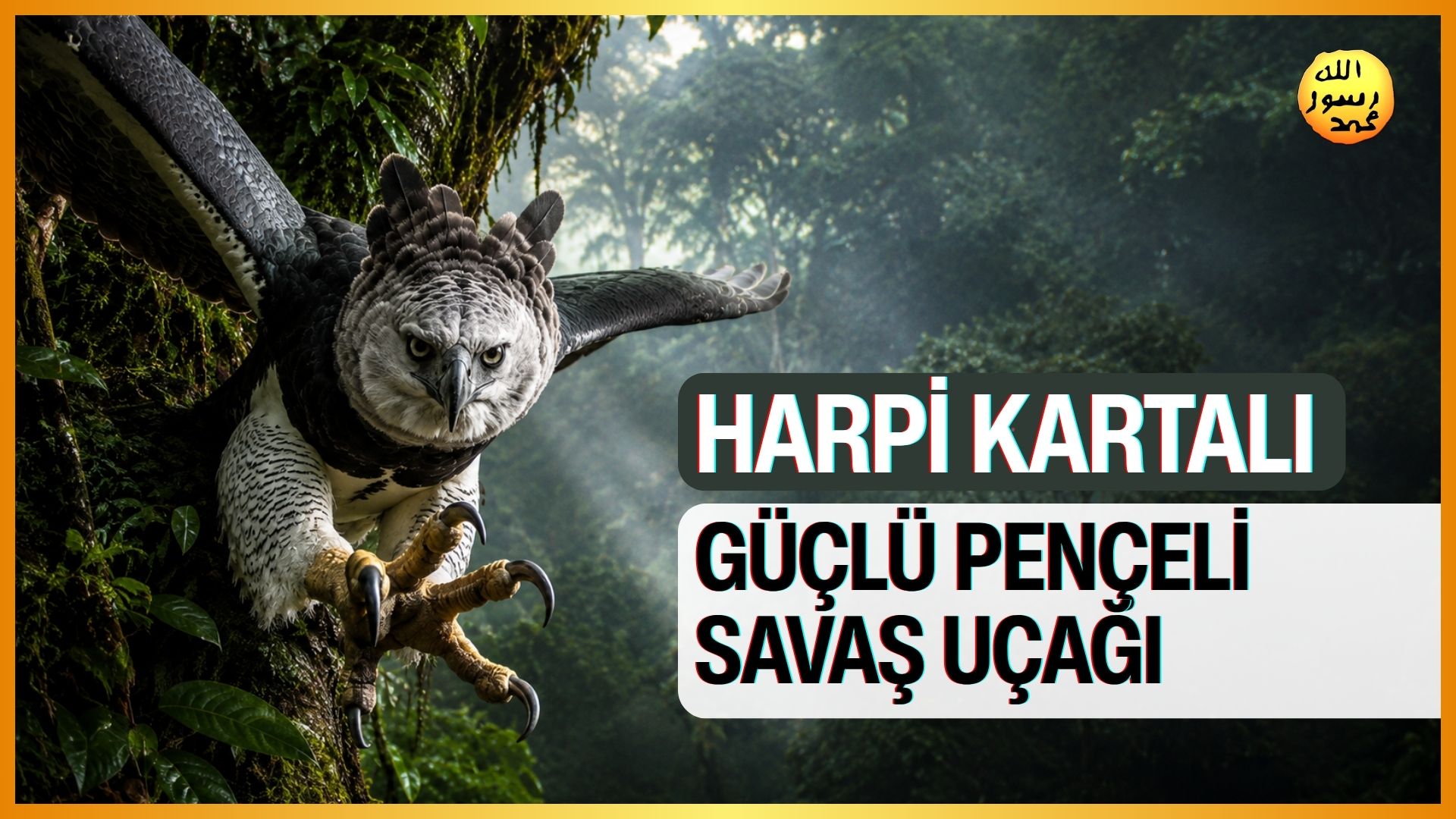 Güçlü Pençelere Sahip Savaş Uçağı 