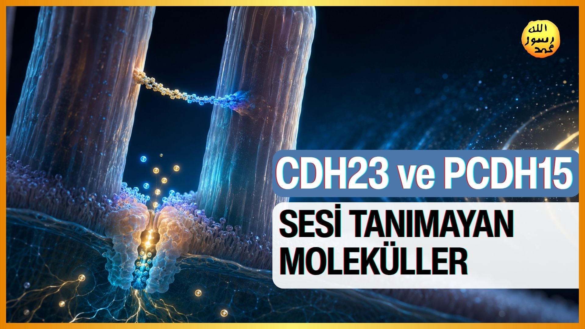 İşitmenin Gizli Kahramanları 