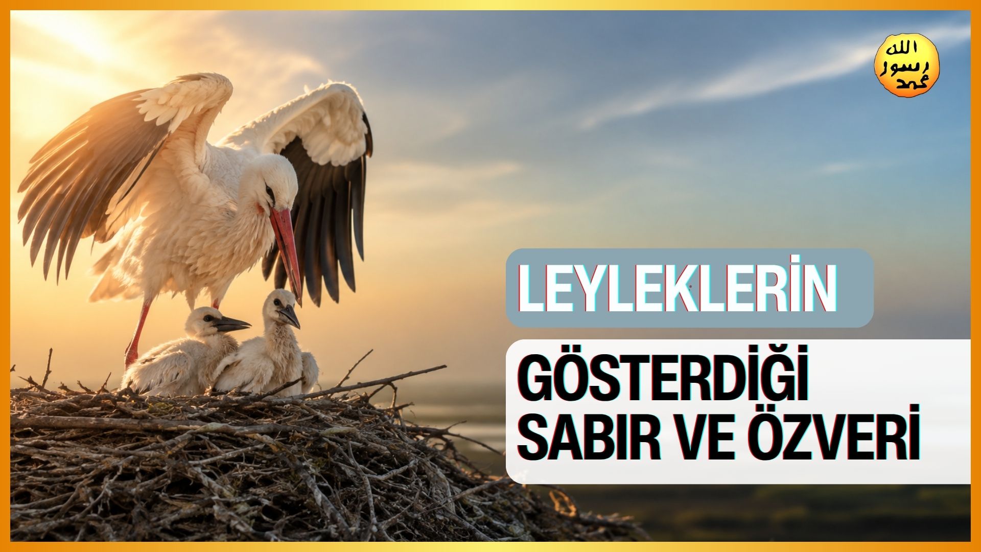 Leyleklerin Gösterdiği Sabır ve Özveri