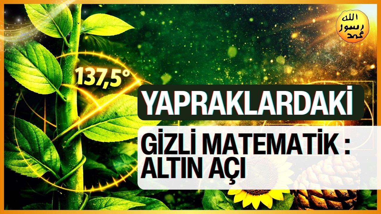 Yapraklardaki Gizli Matematik : Altın Açı