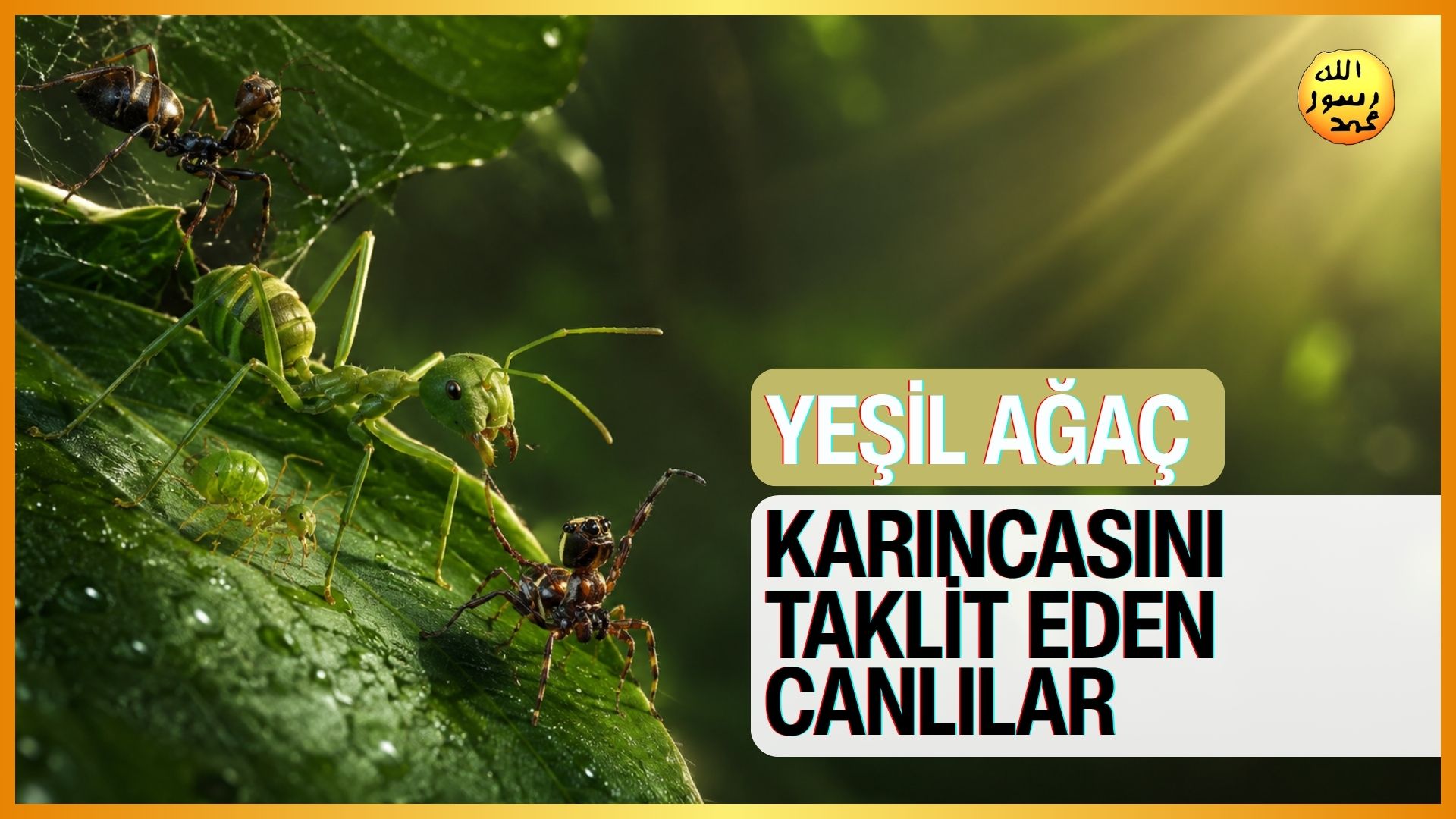 Yeşil Ağaç Karıncası ve Onu Taklit Eden Canlılar