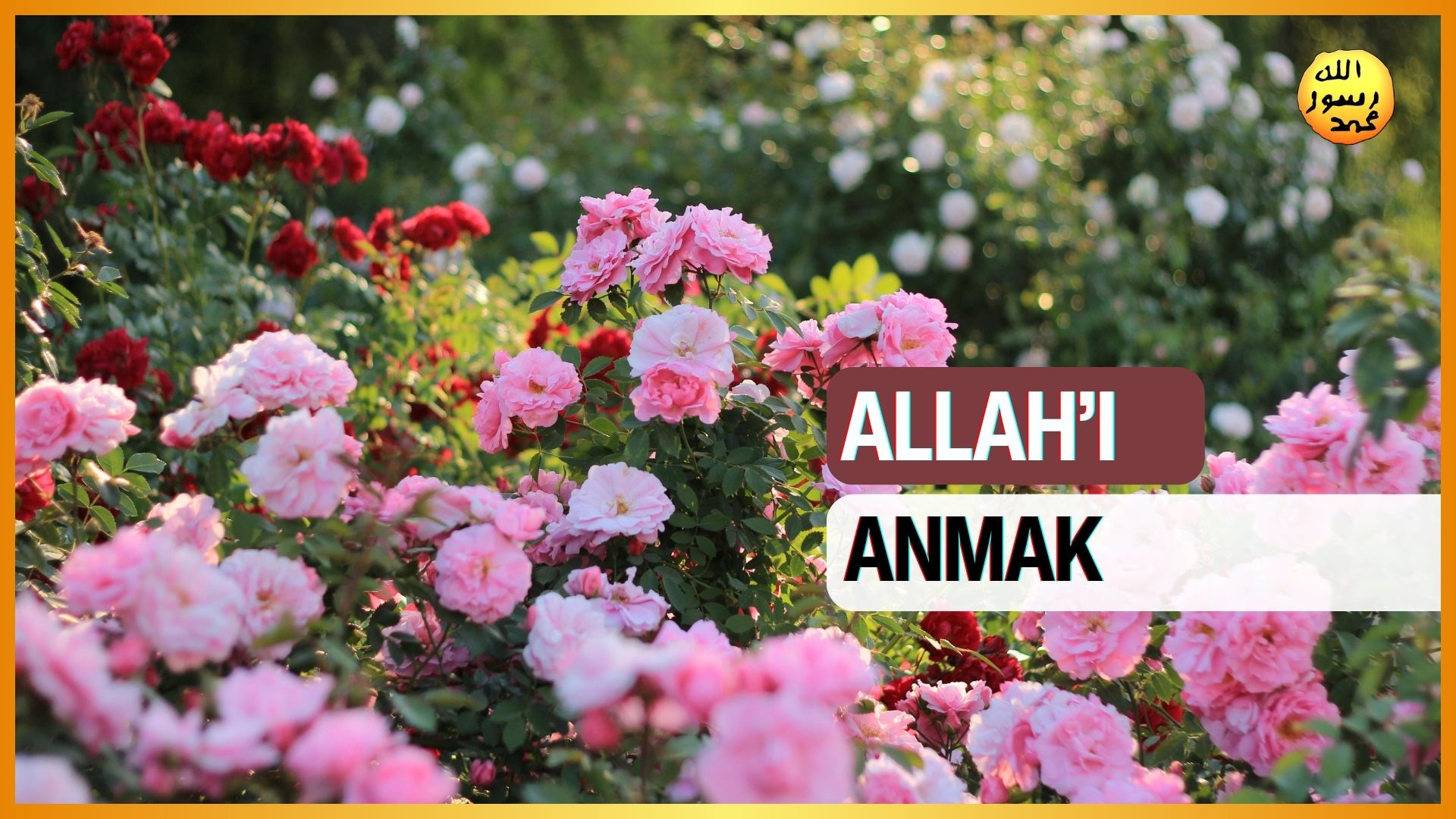 Allah'ı Anmak