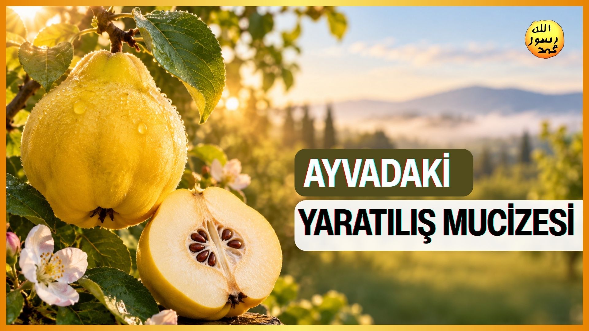 Ayvadaki Yaratılış Mucizesi